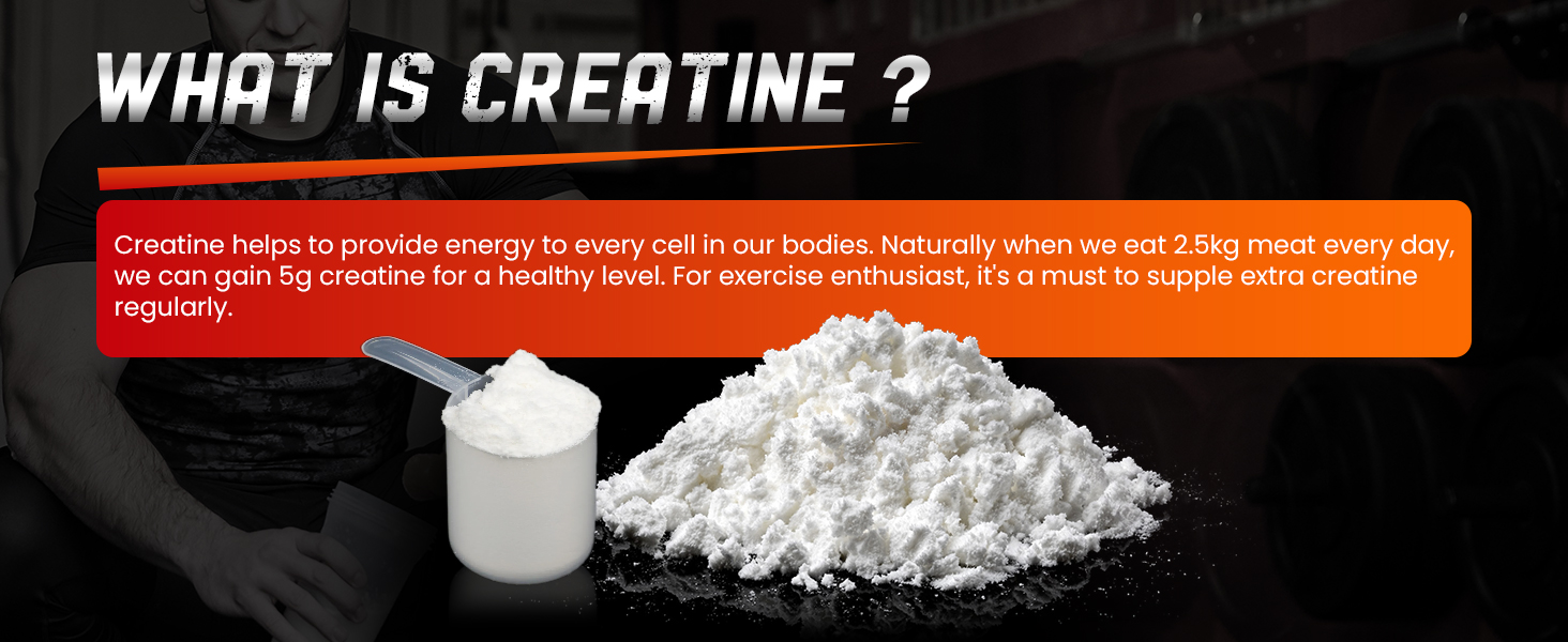 creatine A+1 (2).jpg