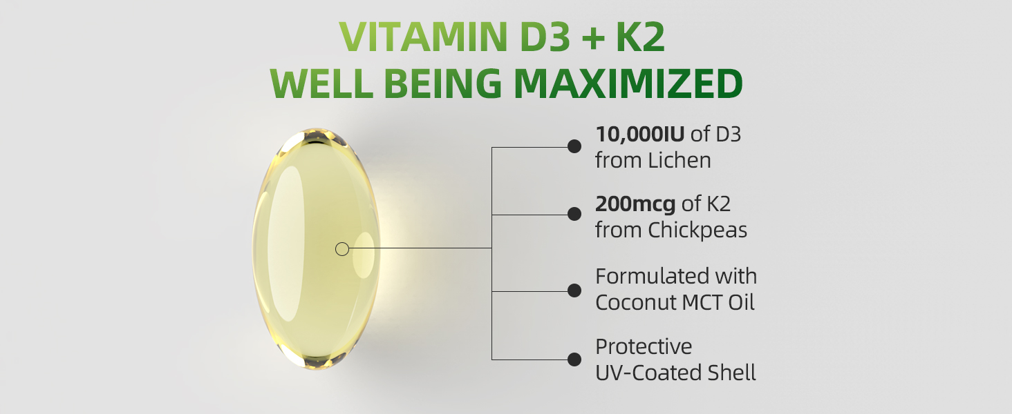 D3 K2 (2).jpg